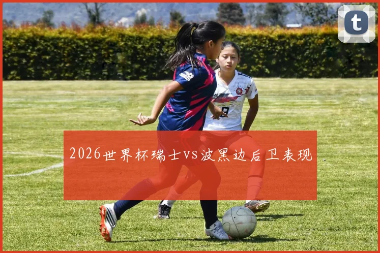 2026世界杯瑞士vs波黑边后卫表现