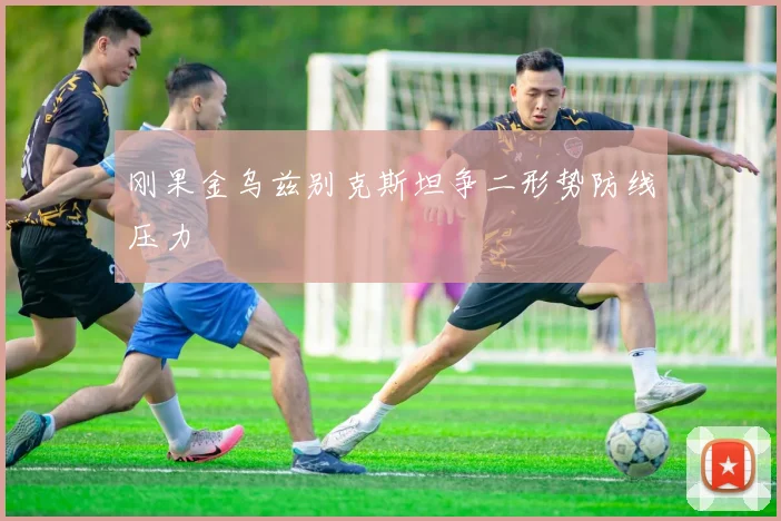 刚果金乌兹别克斯坦争二形势防线压力