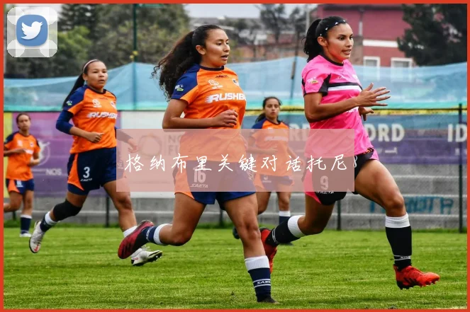 格纳布里关键对话托尼