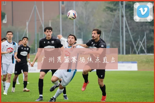 广州男篮赛场焦点直击