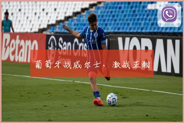 葡萄牙战威尔士,激战正酣