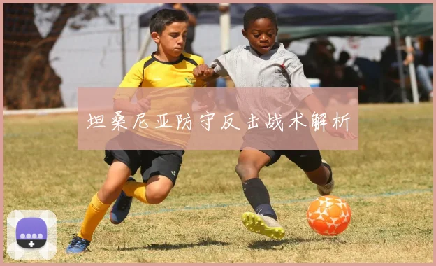 坦桑尼亚防守反击战术解析