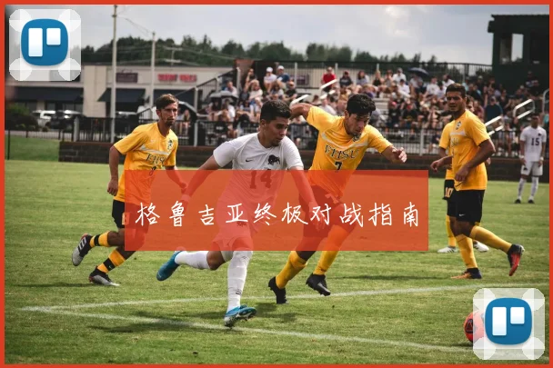 格鲁吉亚终极对战指南