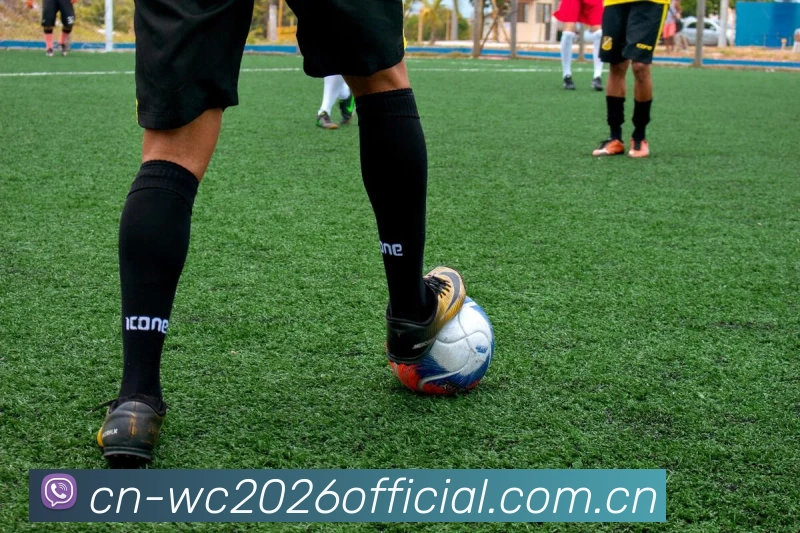 世界杯投注指南 | 新手买球教程与盘口解析 - 2026世界杯 ...官方图标