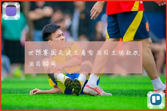 世预赛国足波兰看台泪目主场狂欢泪目瞬间