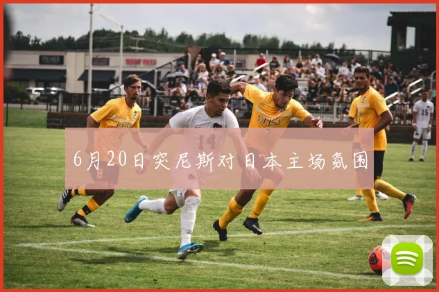 6月20日突尼斯对日本主场氛围