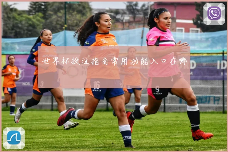 世界杯投注指南常用功能入口在哪