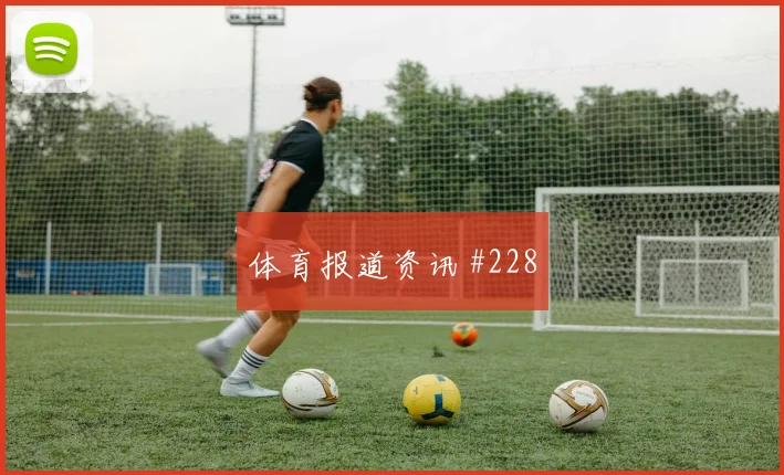 澳大利亚巴拉圭小组赛点球手分析