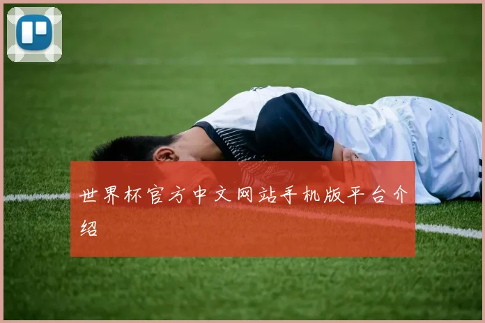 世界杯官方中文网站手机版平台介绍
