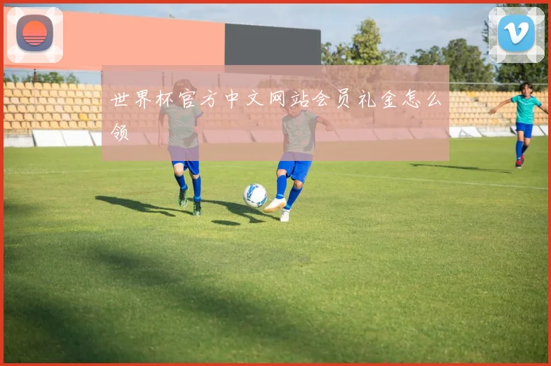 世界杯官方中文网站会员礼金怎么领